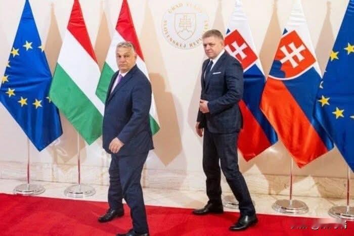 乌克兰关闭所谓的“友谊”输油管道后，欧尔班和菲佐转而向克罗地亚寻求帮助，要求他们