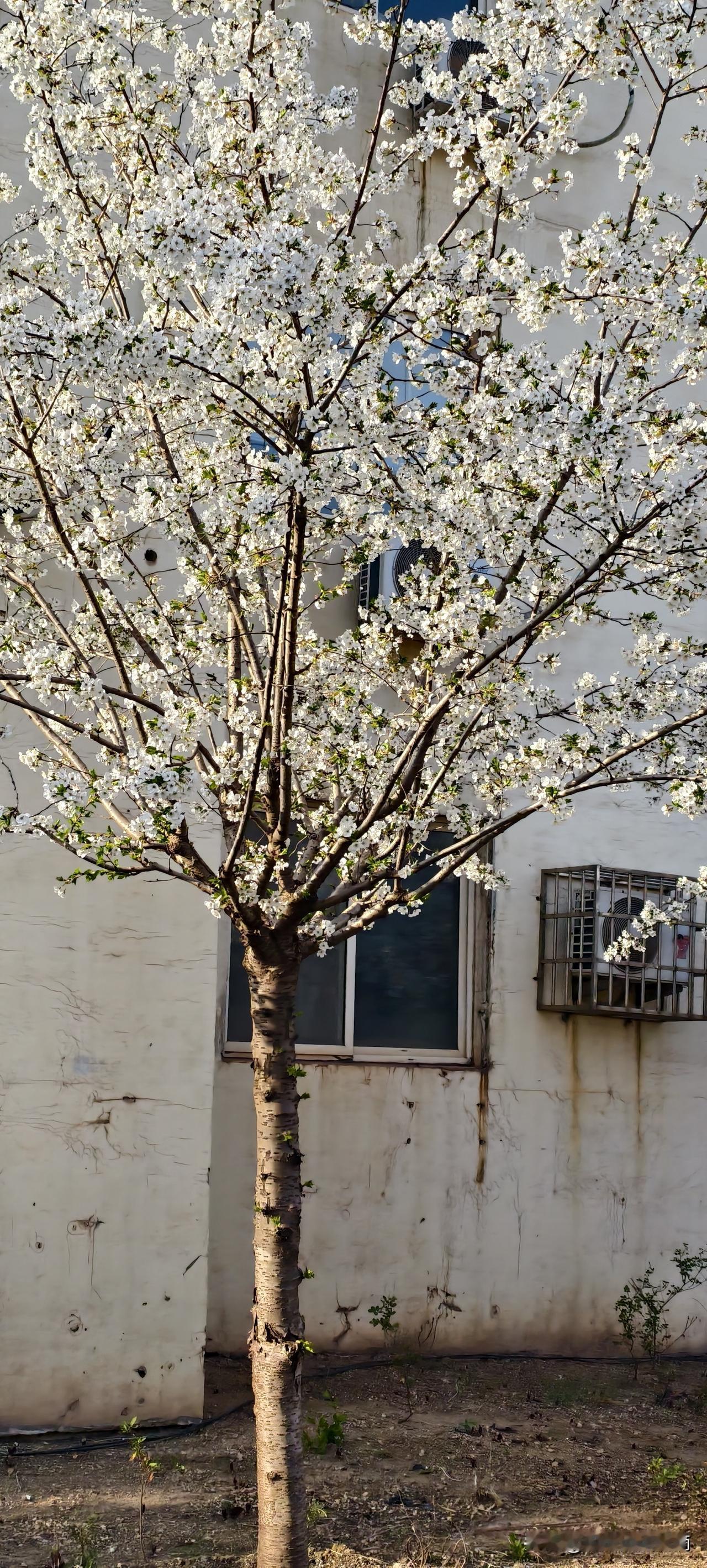 在职场混了10年才明白：那些让你痛苦得想辞职的瞬间，才是你翻盘的开始。老铁，