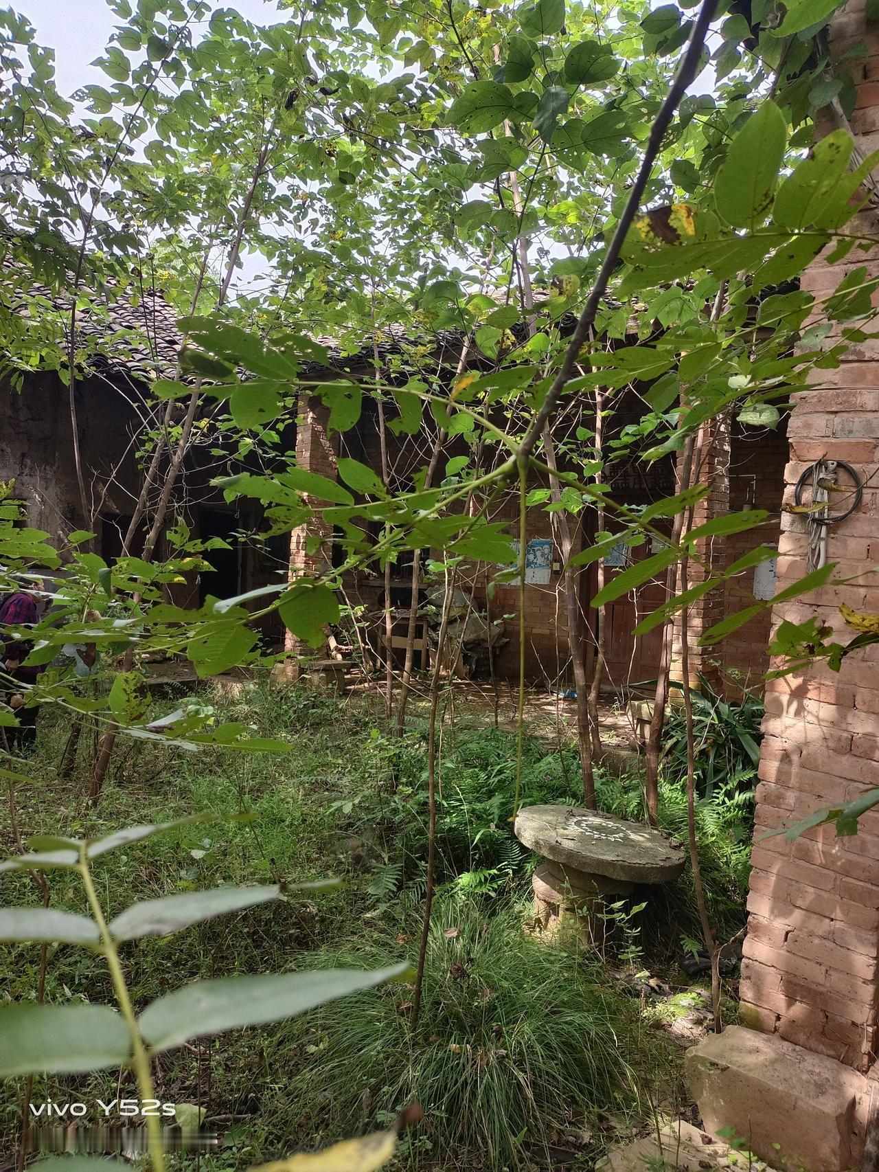 感觉就像走进了绿树掩映的古宅，岁月静好如初。想起宁波奉化的九龙村，那就是这样一