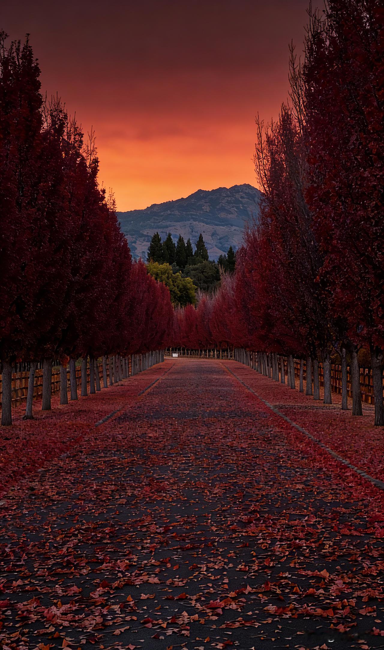 醍醐灌顶的一句话:“你只要敢跟人拼命，敢同归于尽，谁见你都得怂。你一旦豁出去发