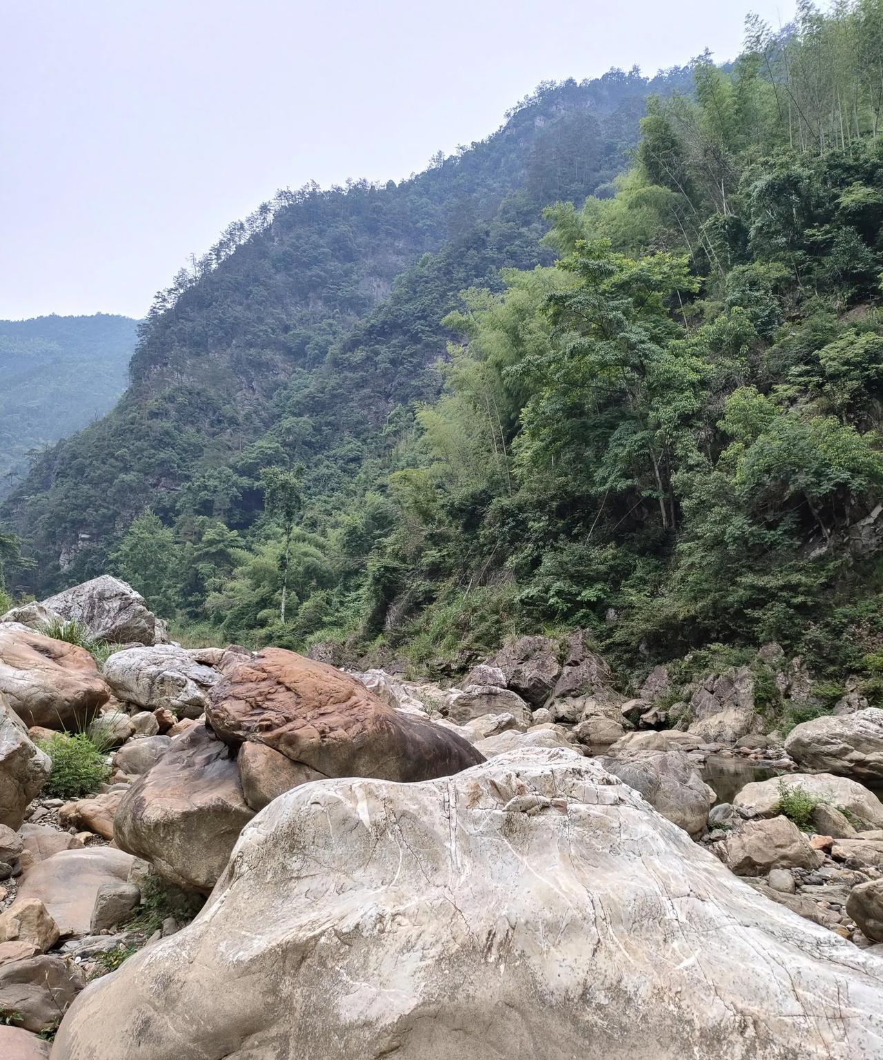 在职场，不管领导问你啥，记住这四个原则:1，说实话，保留三分2，涉及领导，一