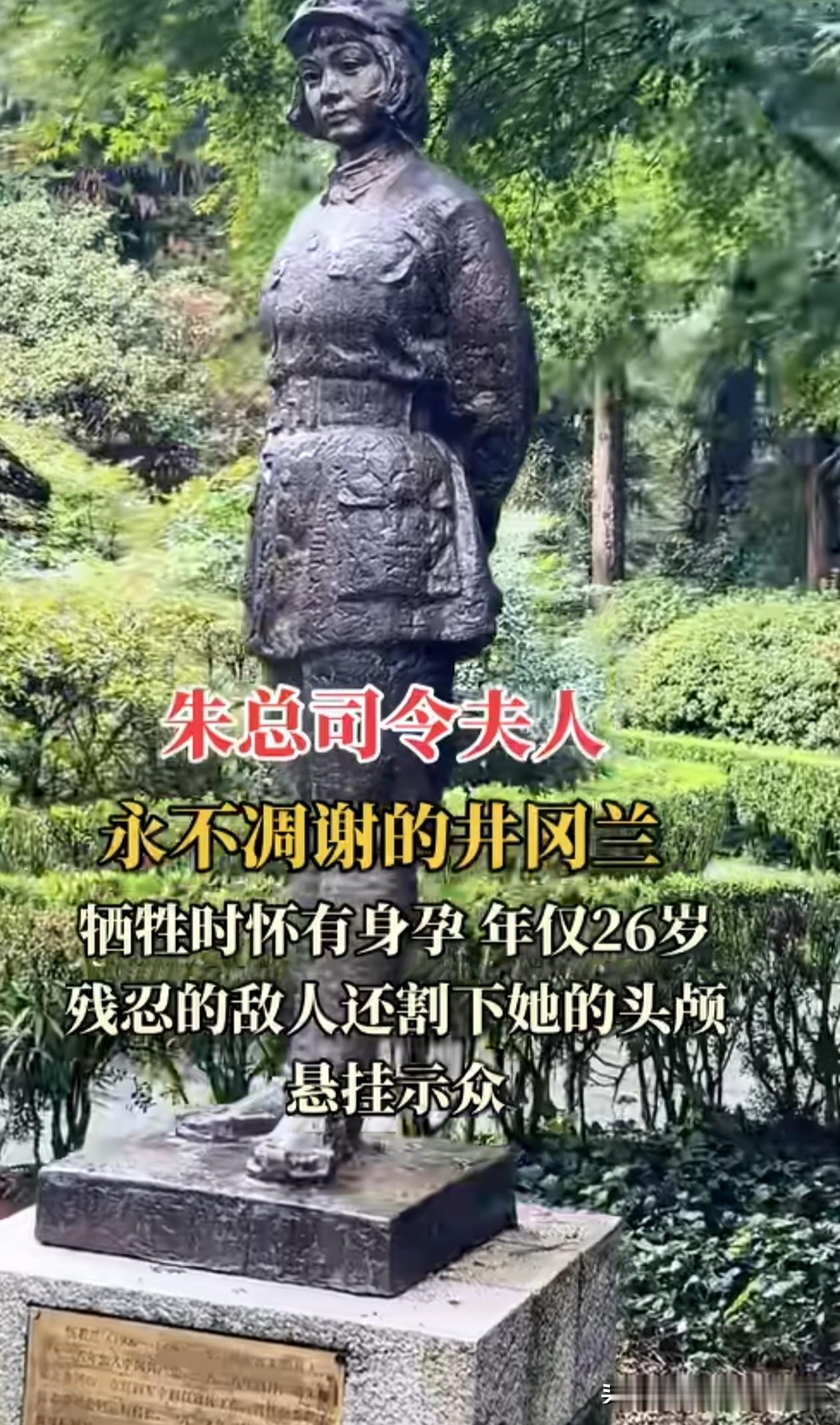 朱总司令，一生独爱兰花！是对伍若兰的思念！她叫伍若兰，是朱德总司令的爱人