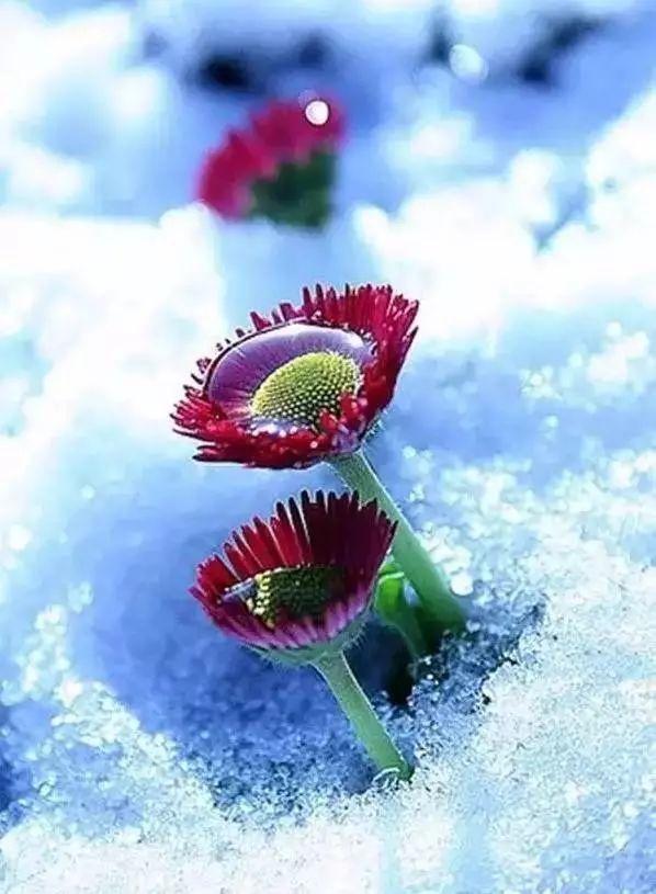 免疫力是最好的“抗癌药”！坚持这4个习惯，癌症绕着你走