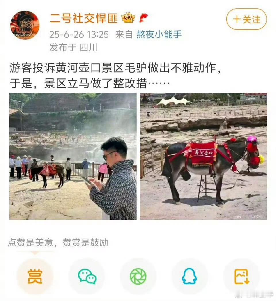 公驴出现不雅动作引发某游客投诉，景区立马整顿给公驴穿上贞洁内裤。你怎么看？​​