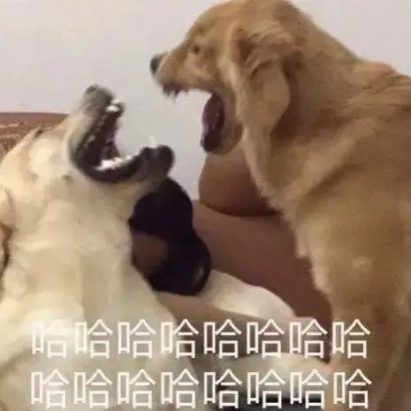 科比第20个赛季正负值-569（场均-8.62）本赛季至今，几名MVP级别球员正