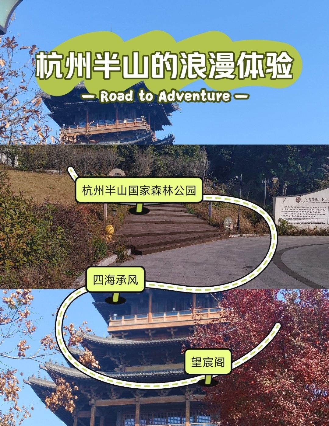 登高远眺的心情📍杭州0元玩转这座城森林公园攻略森林公园浪漫生活记录者幸福
