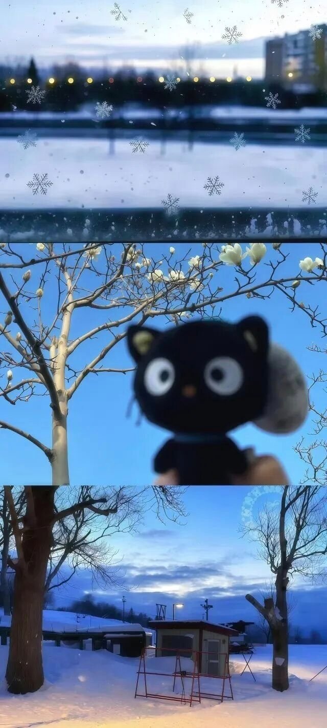壁纸分享​​​