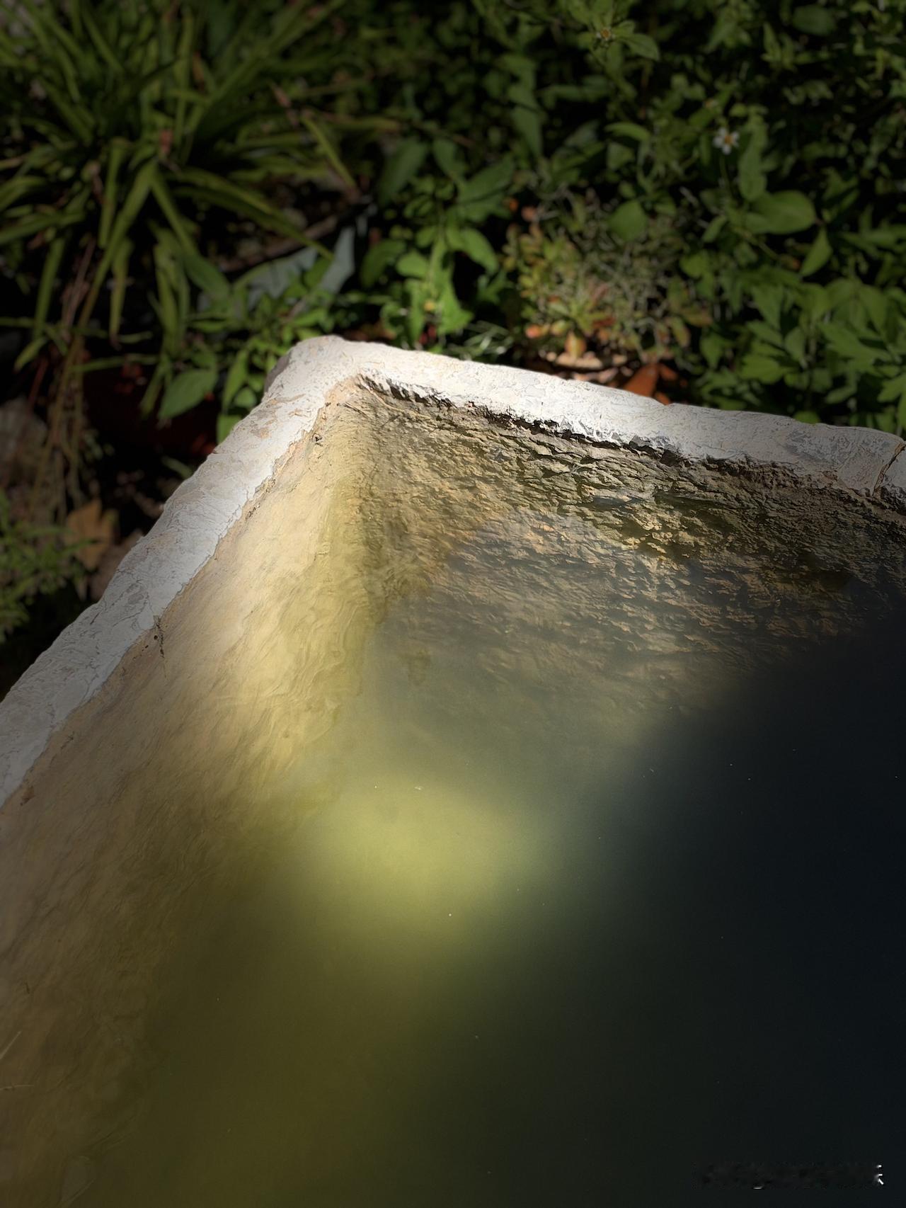 水瓶座我的情绪我负责清零你有没有发现，身边那个水瓶座朋友——失恋第二天还能约你