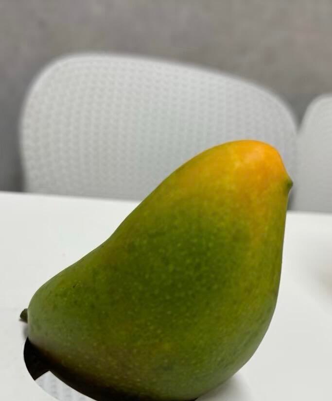 我的鹦鹉老了。