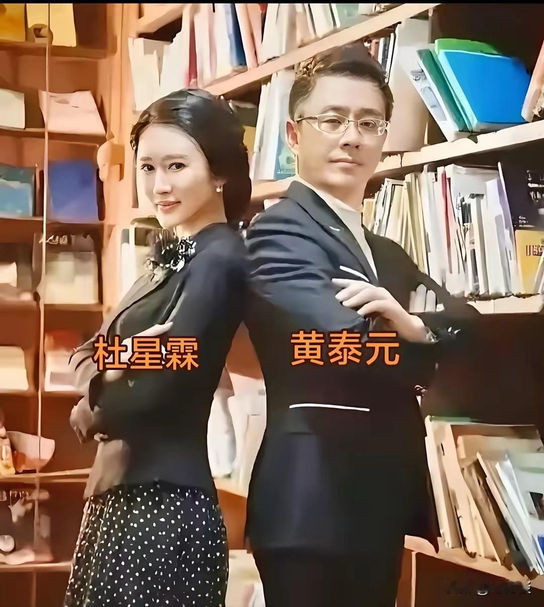 不查不知道，一查吓一跳，杜星霖的前夫原来是台湾富商，看起来两个人非常般配，郎才女