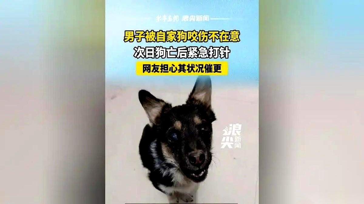 自家的狗，咬了自己一口。第二天，狗死了。这事儿放谁身上不哆嗦？这根本不是新闻