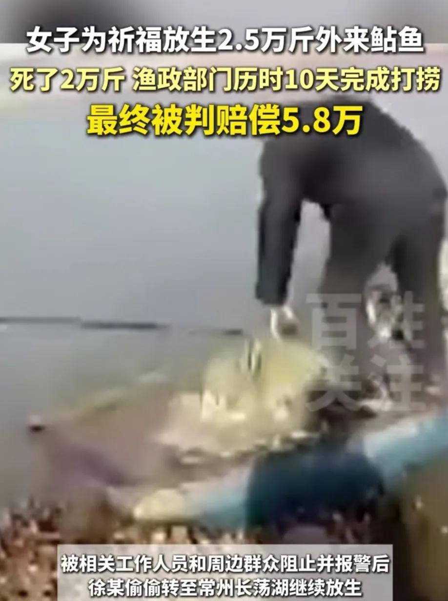 “该罚”！江苏常州，女子为给家人祈福，从刘某处购买了2.5万斤的鲇鱼（塘虱鱼），