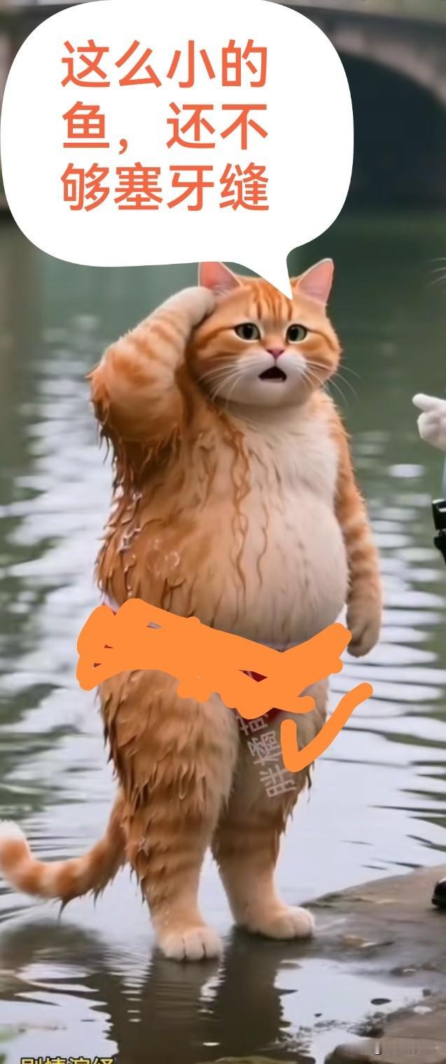 天气0到十度，大降温真的很难钓到鱼吗？钓鱼不钓草，等于瞎胡跑。钓鱼不打窝，钓的