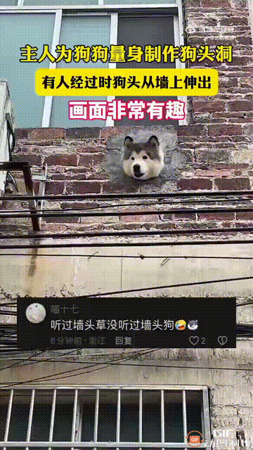 湖南一名男子养了一只小狗，由于家里住在二楼，小狗不能到外面玩耍，为了让小狗能随时