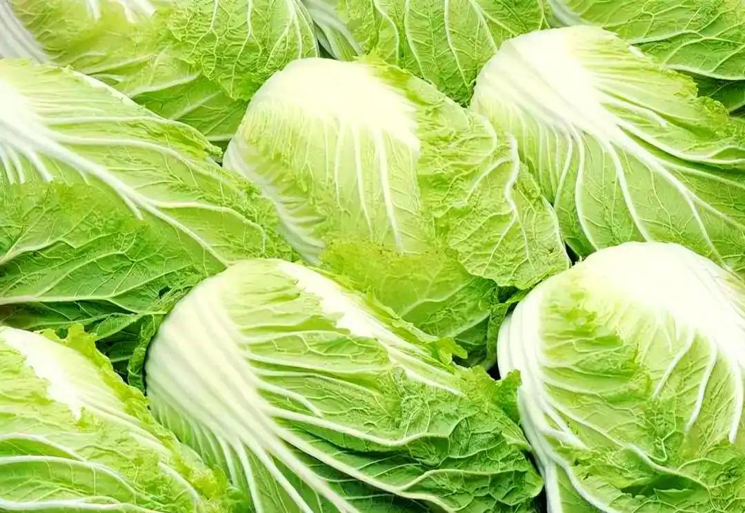 甲醛白菜惊动国务院！最近河北省张家口市康宝县白菜收购商用甲醛泡白菜一事震惊全网