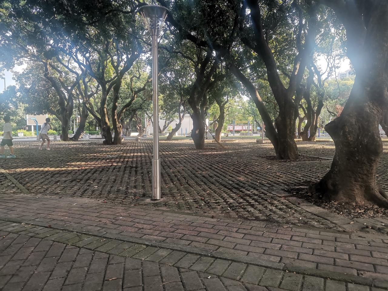 师范毕业生避坑小技巧。没必要到县城学校实习了。现在县教育局基本上不招中小学教师