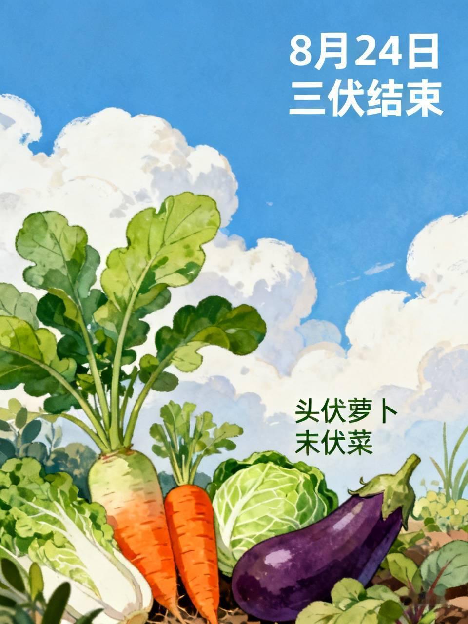 今天是8月22日，再过两天，今年的三伏就结束了。农谚说得好“头伏的萝卜末伏的菜”