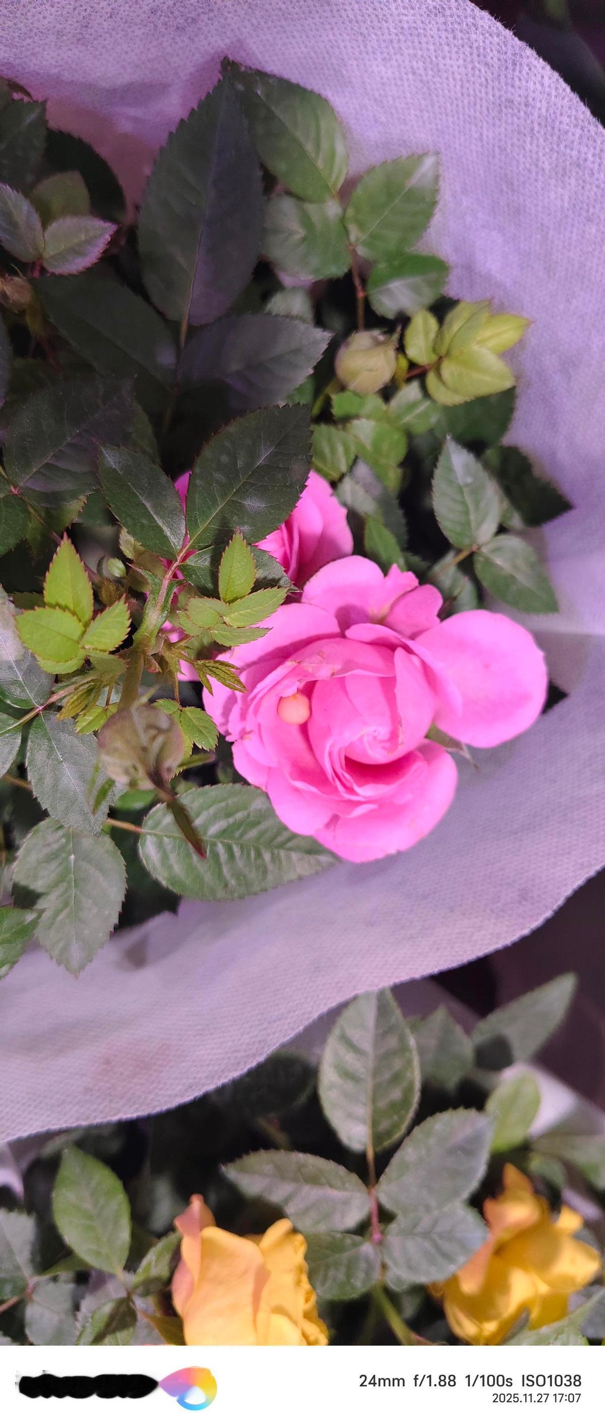 你每多给儿子家打一笔钱，都是在给自己的尊严账户销一次户。我58岁，连续7年承包