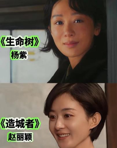 赵丽颖的造城者1月10号播出而杨紫的生命树1月29号播出2部剧中间没有衔接其