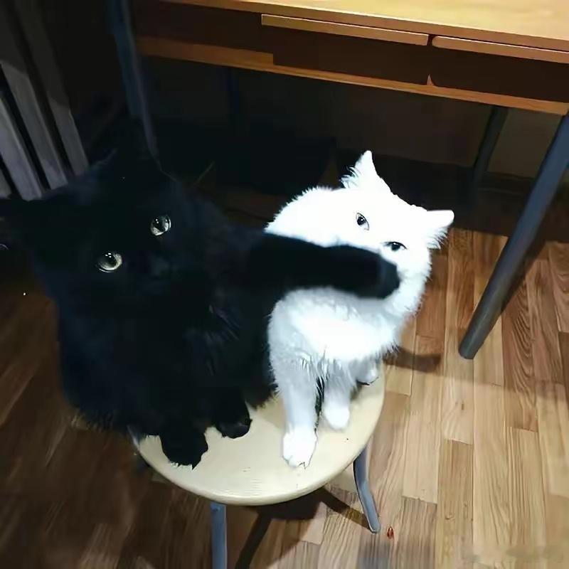 对方说“谢谢”时，可以试试这样回☞1.都是共产主义的接班人，别那么见外啦。2.