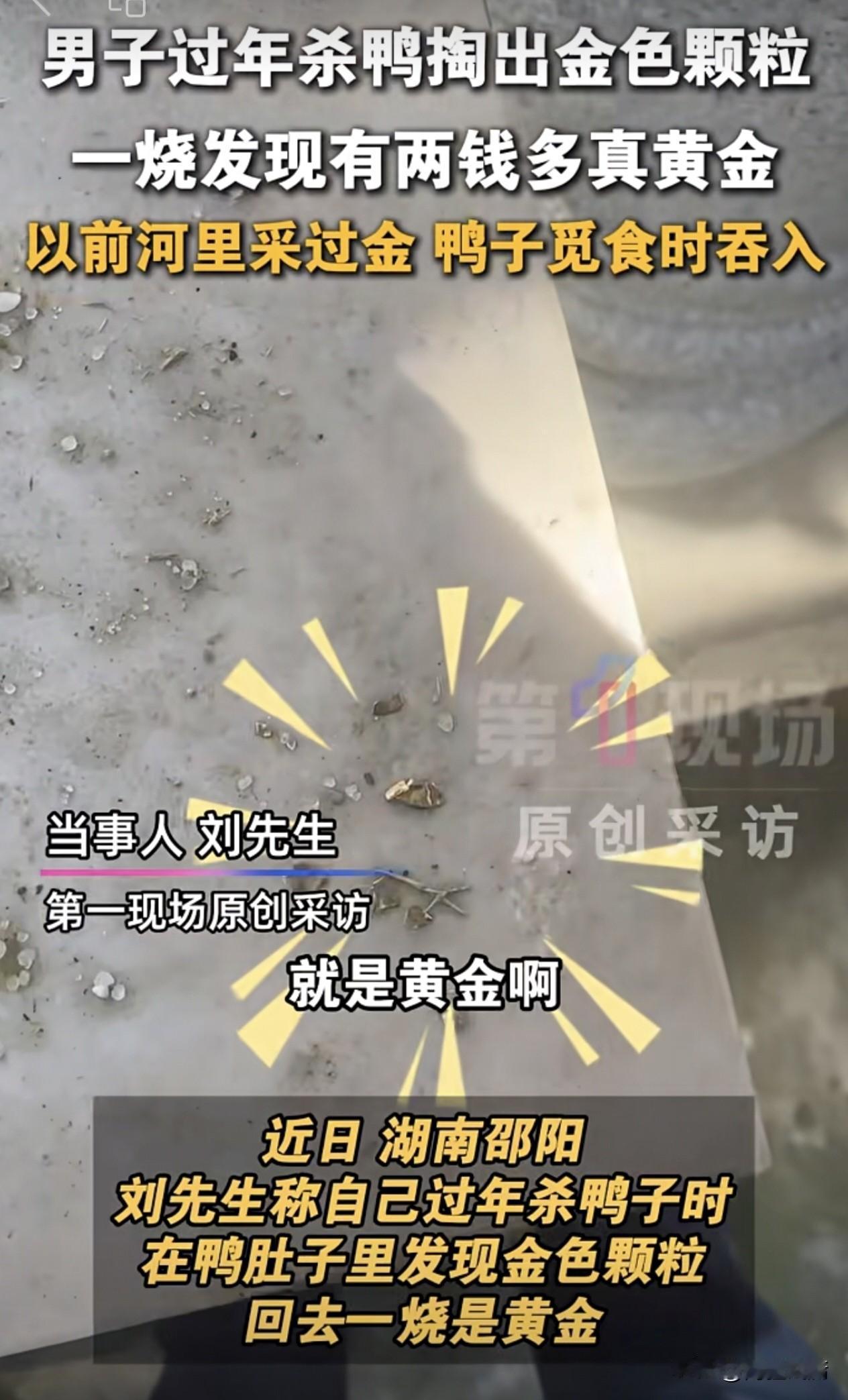 杀鸭杀出黄金！湖南一男子宰自家鸭子，竟在鸭肚里掏出真金粒，唐朝早有记载你敢