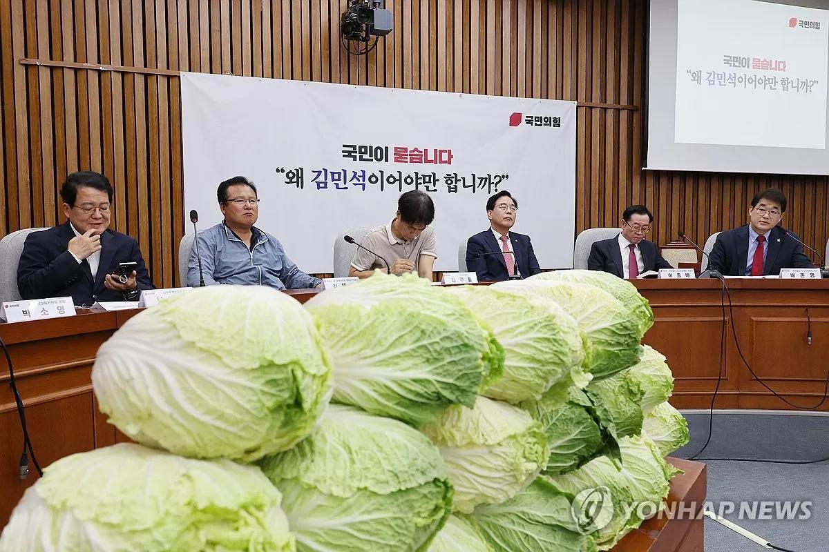 无辜的白菜被迫陷入党争？国民力量为了攻击金民锡来自白菜种植的投资收入有疑惑？