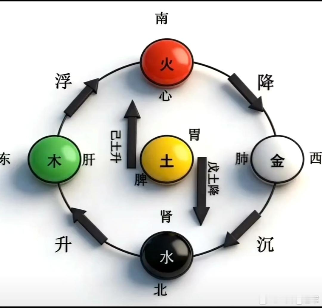 引火归元引火归元——最简单有效的捷径就是——顺着小腿内侧往上捋！堪称中医界最高境