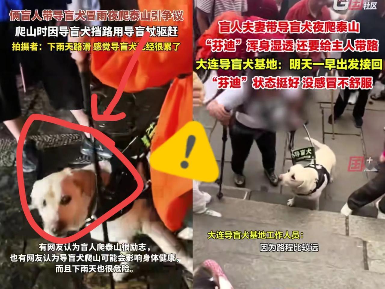 芬迪被连夜接走。大连基地的车昨晚十点到北京，把那条陪盲人夫妻冒雨爬完六千级泰山