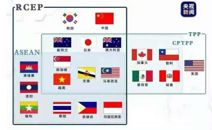 9年逆袭！美国退群后，CPTPP凭啥成全球最抢手的贸易俱乐部？2026年6月