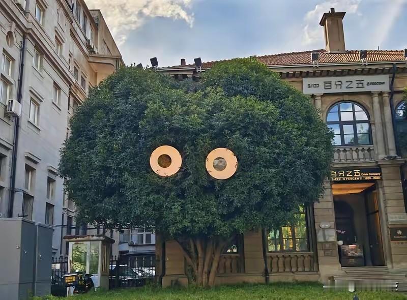 “硬核”江城，创新指数全球第八！2025年的武汉，科技创新的脉搏强劲有力。这