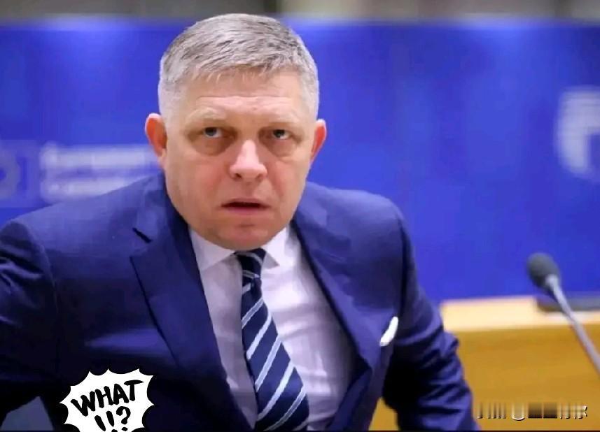 乌克兰毫不犹豫地切断了“友谊管道”向斯洛伐克、奥地利、匈牙利、德国、意大利、法国