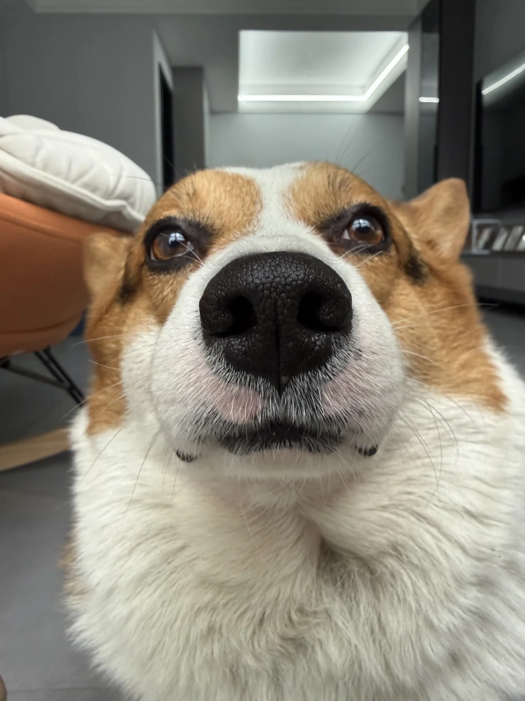 你好，我是小斗。