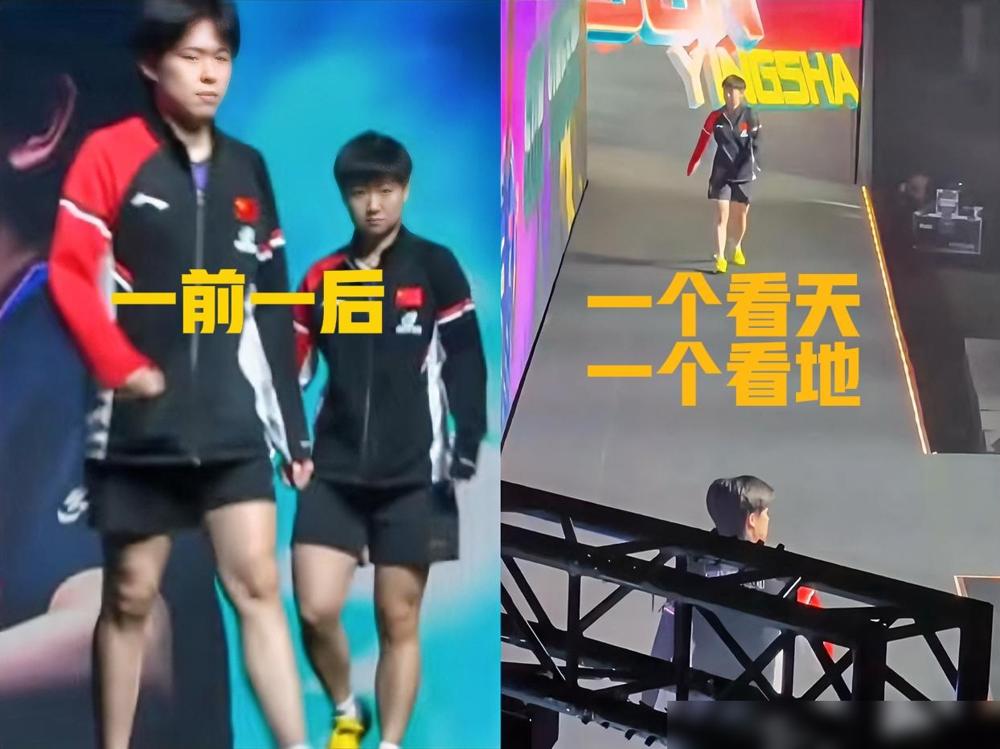 终于知道为什么莎头组合入场没有笑了？不是因为出场方式不够有意思，也不是他俩性格不