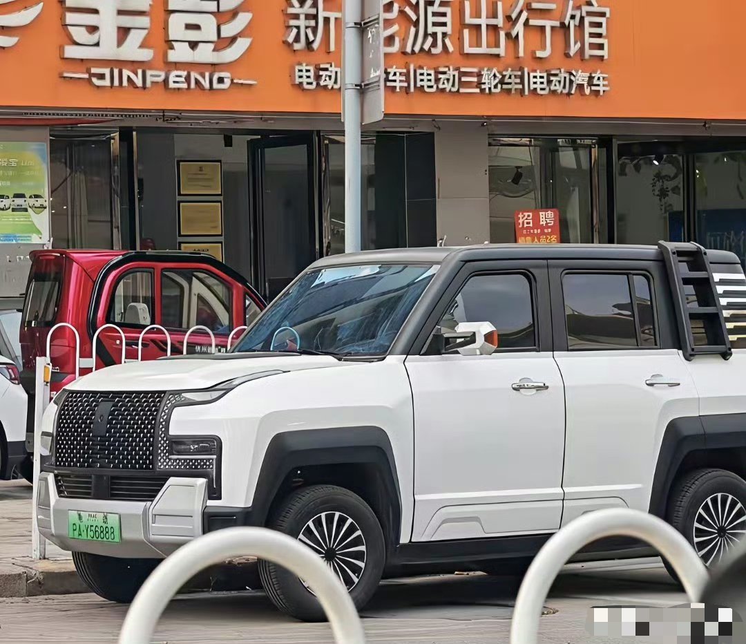比亚迪法务部真得好好治治你了，拿个老头乐说是仰望……