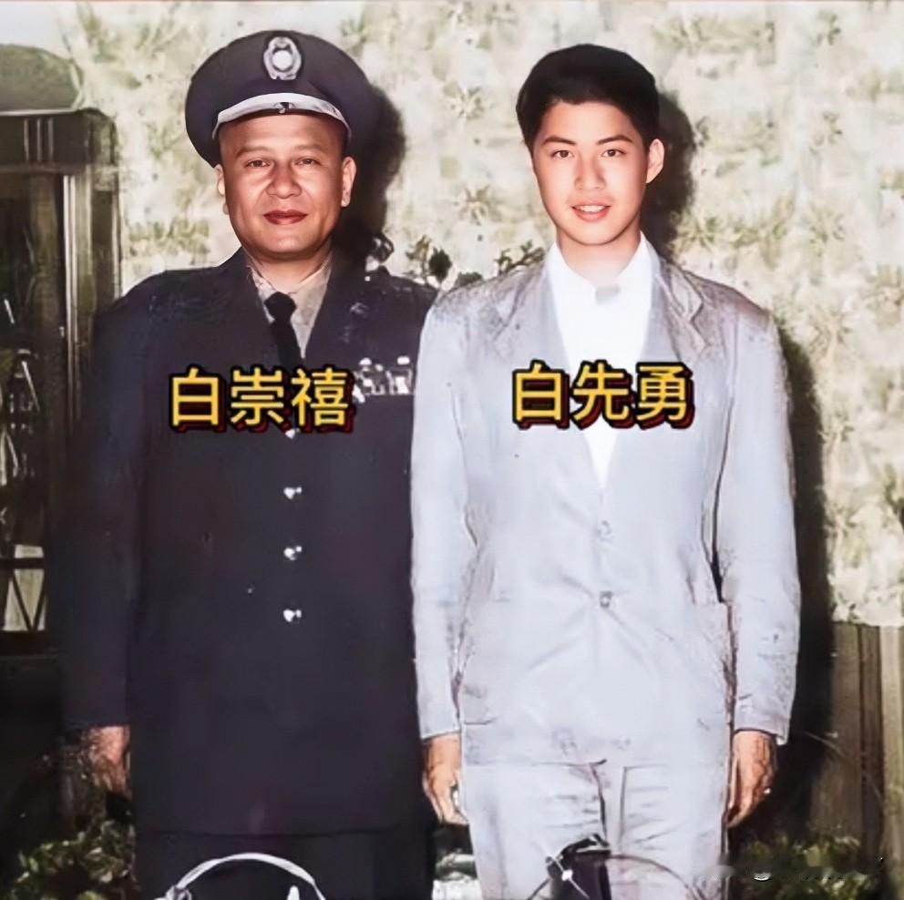 这是白先勇去美国留学前与父亲白崇禧的一张合影老照片，拍摄于上世纪六十年代。这可不