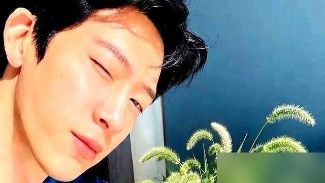 云合数据直接爆表，转身就坚决不接二搭。井柏然和孙千这一撤，硬是把平台刚端上来的续集大饼给掀了。《早春