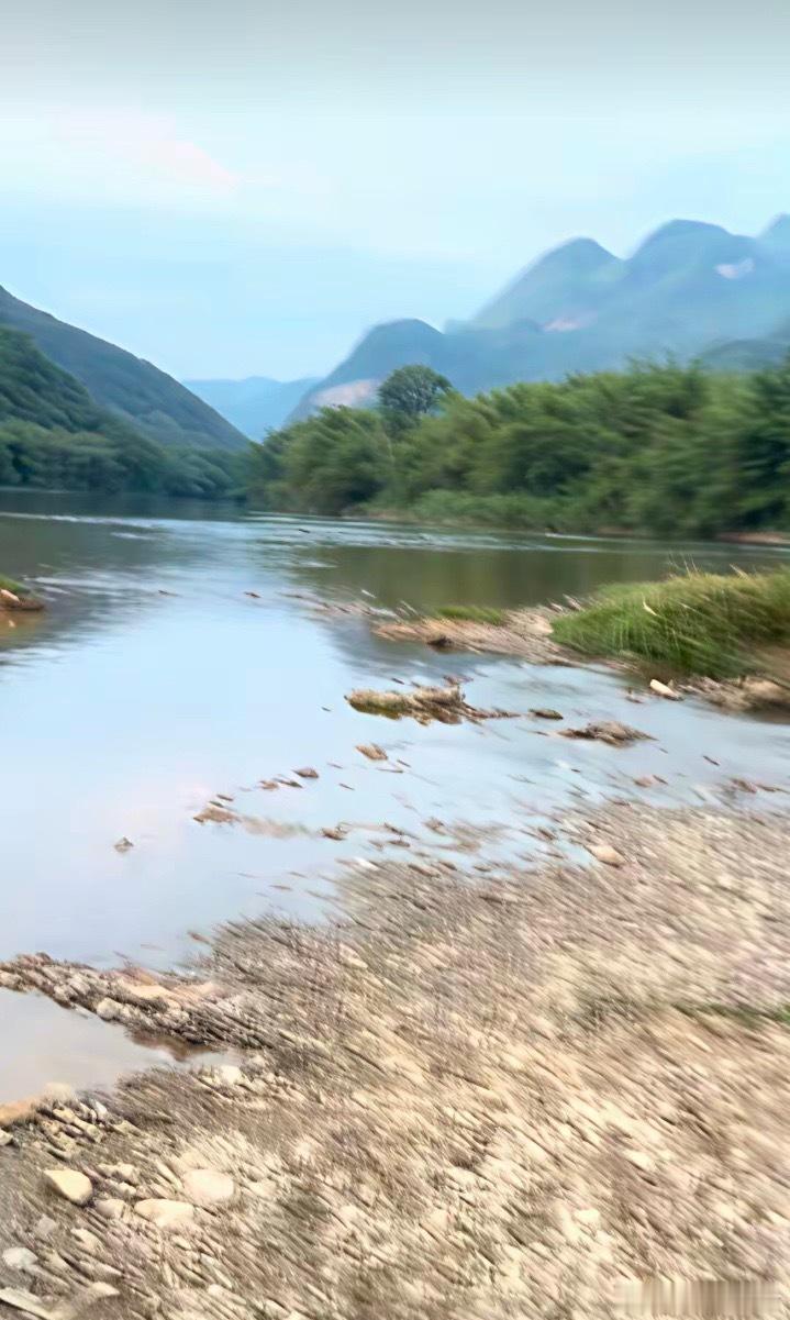 湖南衡阳游客到广东清远游玩，为了救落水的小朋友，把手机交给旁边的人保管，保管人拿