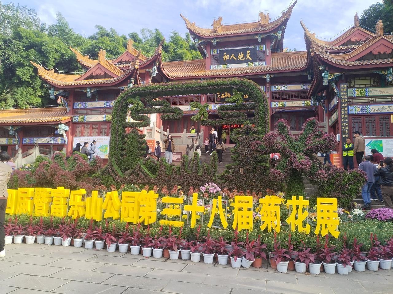 秋风凉，菊绽放，一缕秋风，一缕香。陌上秋菊如星辰，独步天涯一明媚。欣赏绵阳市