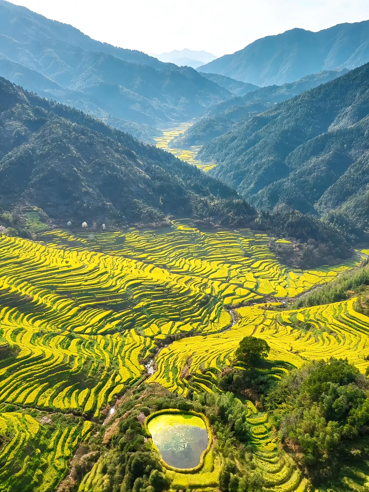 接待了一位高三学生的家长，孩子成绩不太理想。虽说孩子就读于南京最好的高中，具体是