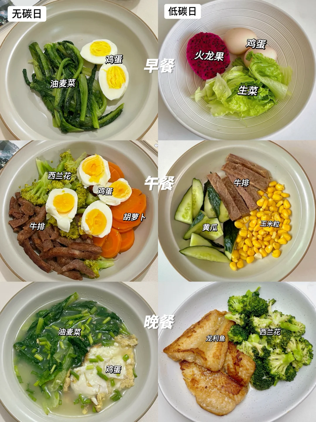 10天瘦了5斤的碳循环减脂食谱｜健康减脂