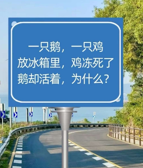 到底是什么情况，友友们？