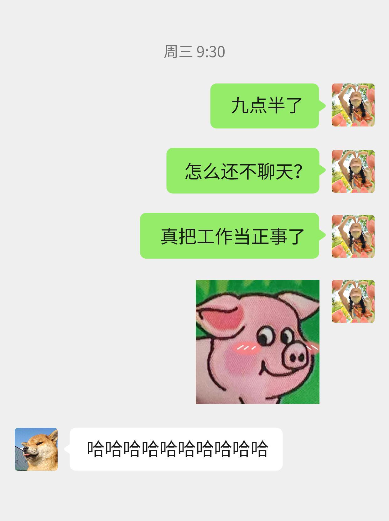 差点把上班搭子笑离职了[笑着哭]​​​