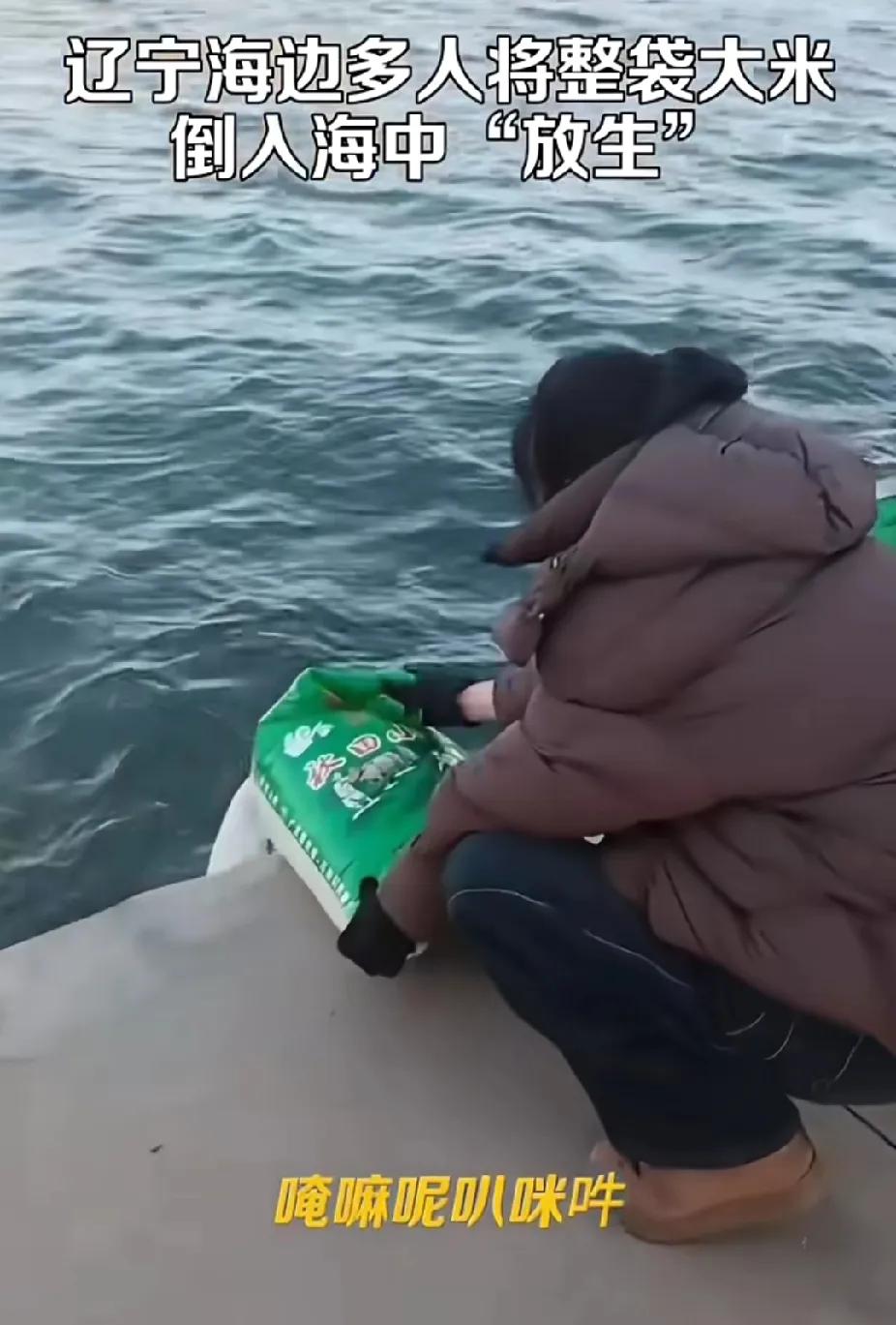 放生不放动物，改放大米了？这年头什么幺蛾子都有，这在辽宁的葫芦岛，有网友拍摄到