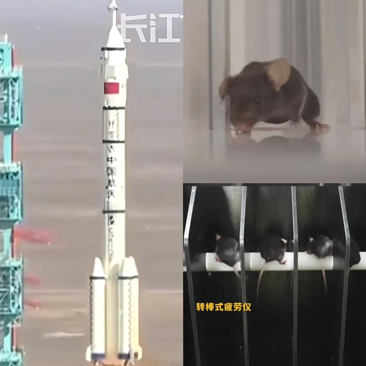 这下瞒不住了,不仅中国,全世界都知道了!这次神舟12号上太空,除了3名航天员之