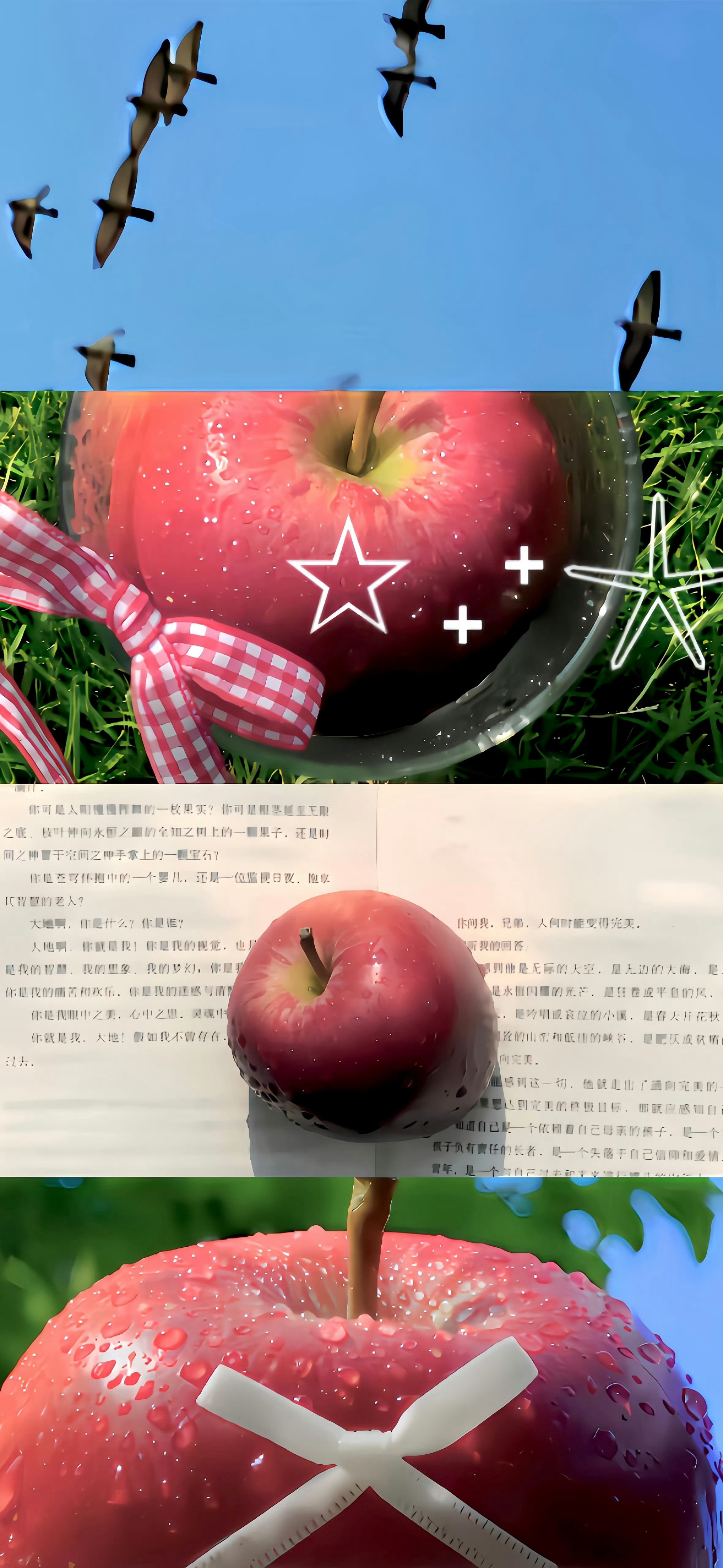 最近收集的手机壁纸