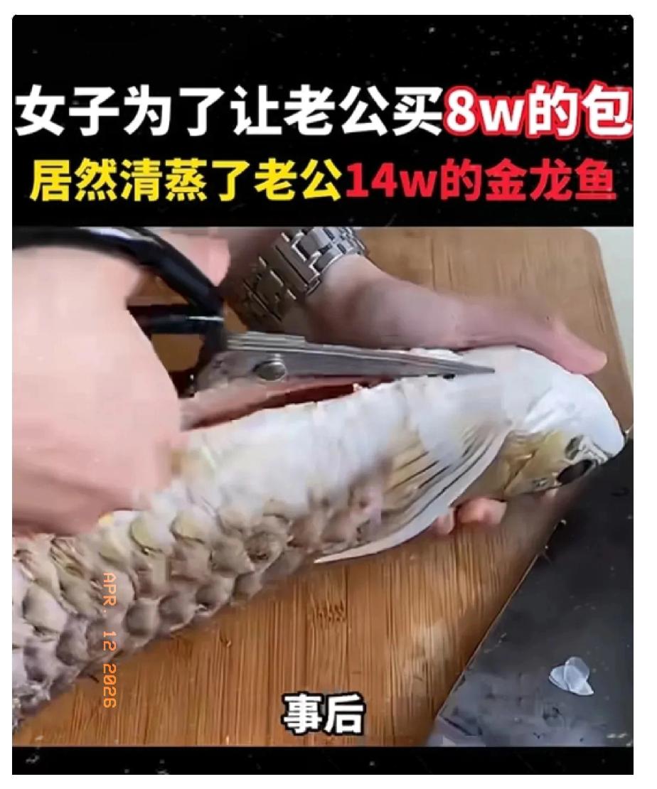 笑不活了！最近网上火了一个奇葩事：一名女子就因为老公不给她买一个8万块钱的包包