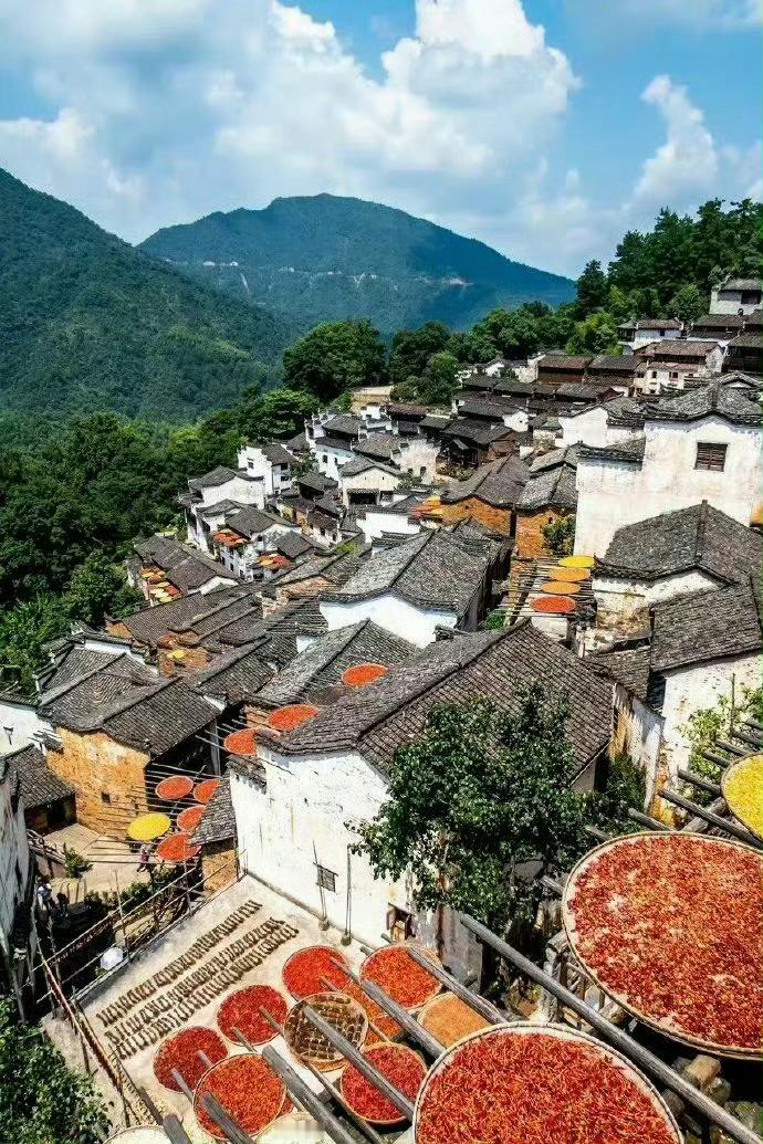 婺源晒秋，成了秋天一道独特的风景。​​​​
