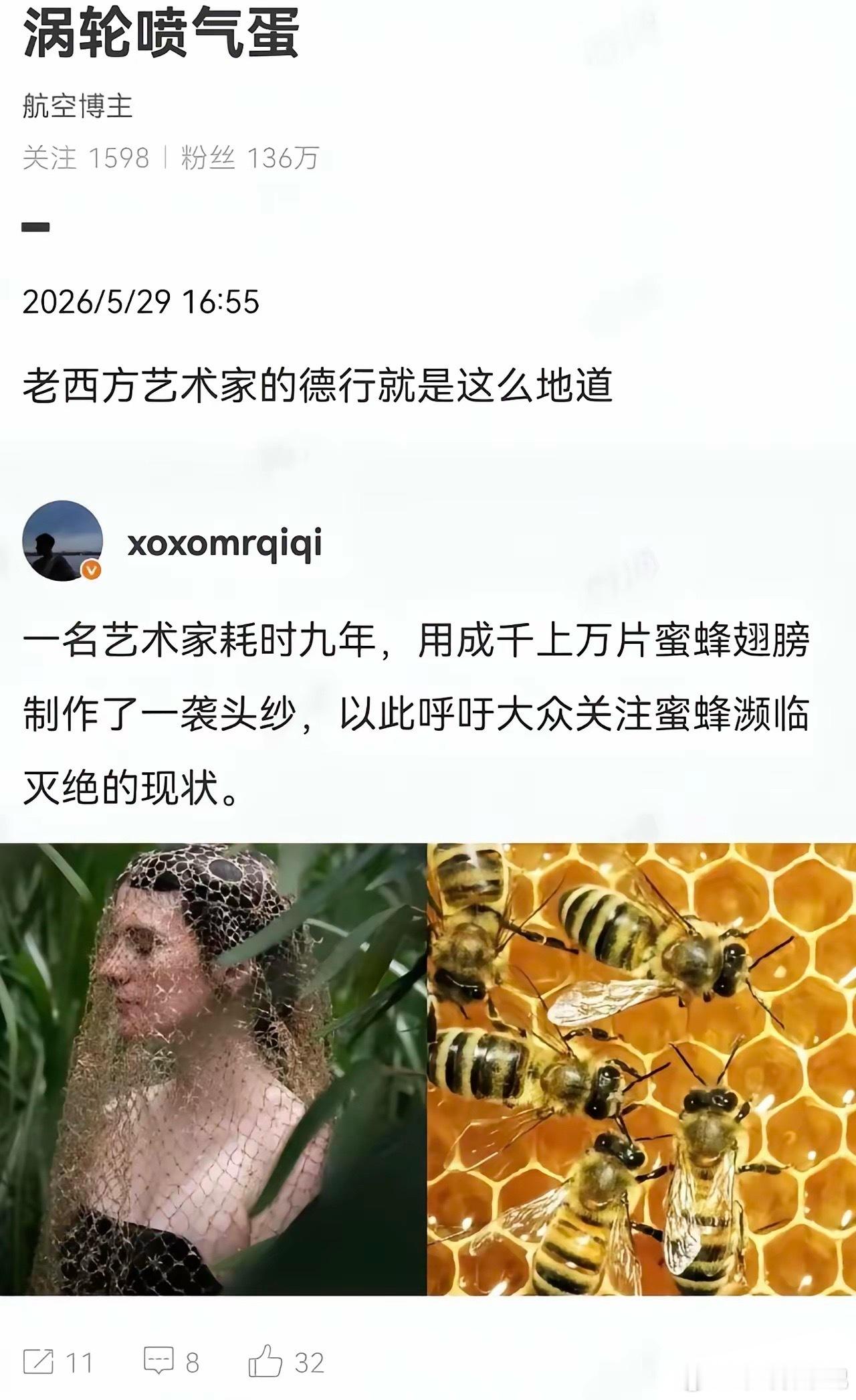 蜜蜂：说谢谢了吗蜜蜂吃瓜