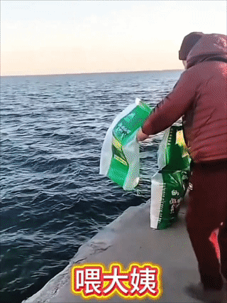 放生大米和放生猫，这两件事都很奇怪，一定要调查清楚背后是什么人在捣鬼。前段时