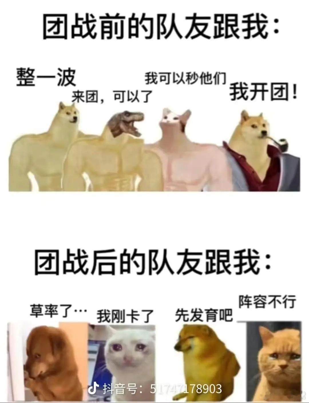 团战前后的队友状态对比，太形象了！dota2dota​​​